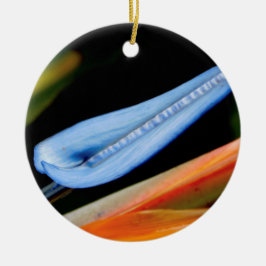 Ornamento De Cerâmica Pássaro da Foto do Paraíso