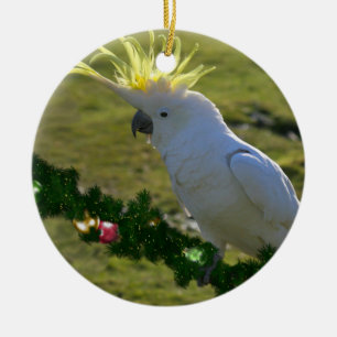 Ornamento De Cerâmica Pássaro de Cockatoo de Natal na Austrália