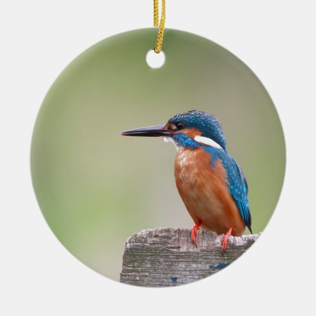 Ornamento De Cerâmica Pássaro Kingfisher. (Frente)