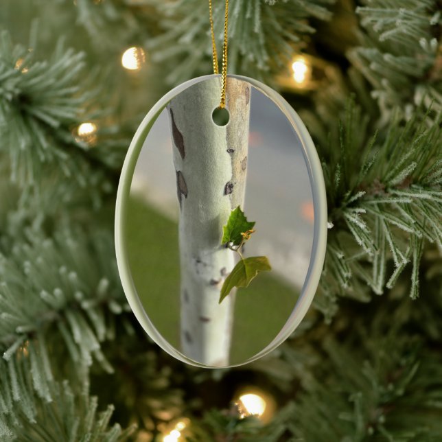 Ornamento De Cerâmica Pássaro na estrada (Árvore)
