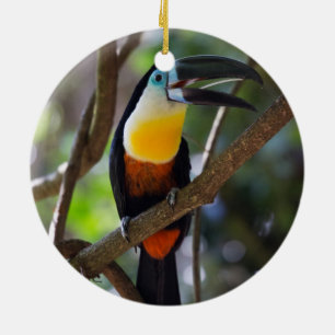 Ornamento De Cerâmica Pássaro toucan bonito em um cenário da natureza 