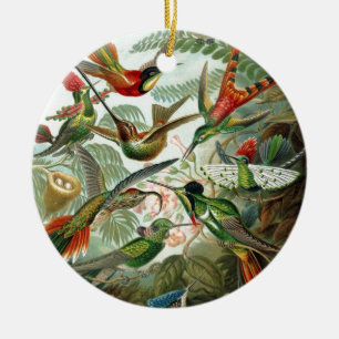 Ornamento De Cerâmica pássaros flores flor pássaro natureza pintura vint