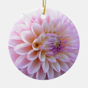 Ornamento De Cerâmica Pastel Hued Dahlia