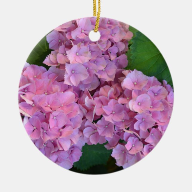 Ornamento De Cerâmica Pastel rosa Hortensia hydrangea floresce (Frente)