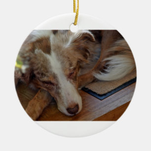 Ornamento De Cerâmica pastor australiano red merle dormindo