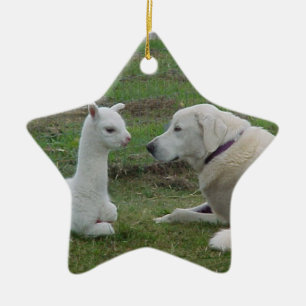 Ornamento De Cerâmica Pastor e alpaca anatólios Cria