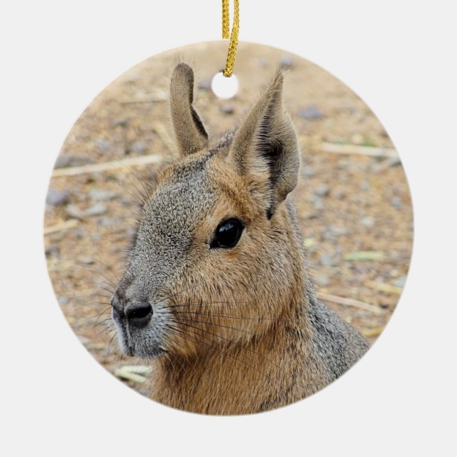ORNAMENTO DE CERÂMICA PATAGONIAN MARA (Frente)