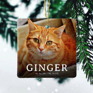 Ornamento De Cerâmica Patas no Nosso Coração  Memorial de Gato 2 Fotos