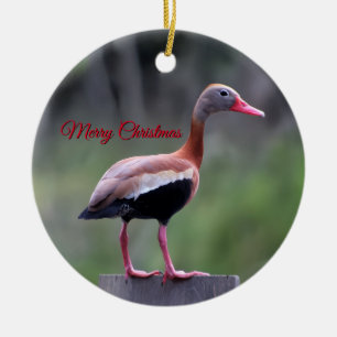 Ornamento De Cerâmica Pato Assobiador Negra, Feliz Natal