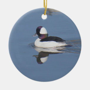 Ornamento De Cerâmica Pato Drake do Bufflehead
