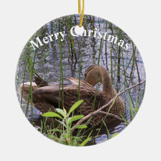 Ornamento De Cerâmica Pato Preening nos Leeds (Frente)