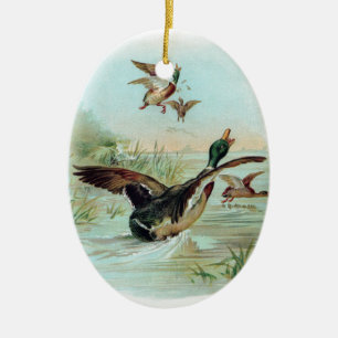 Ornamento De Cerâmica Pato selvagem que faz uma aterragem da água
