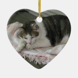 Ornamento De Cerâmica Paul