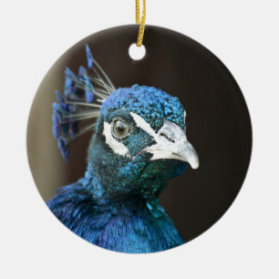 Ornamento De Cerâmica pavão
