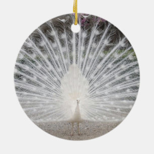 Ornamento De Cerâmica pavão branco