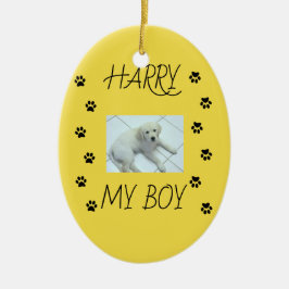 Ornamento De Cerâmica Paw imprime com 1 foto e nome de Pet