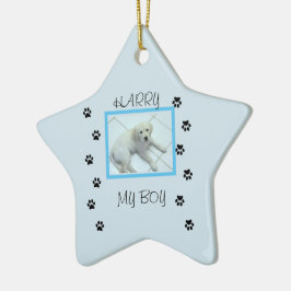 Ornamento De Cerâmica Paw imprime com 1 foto e nome de Pet