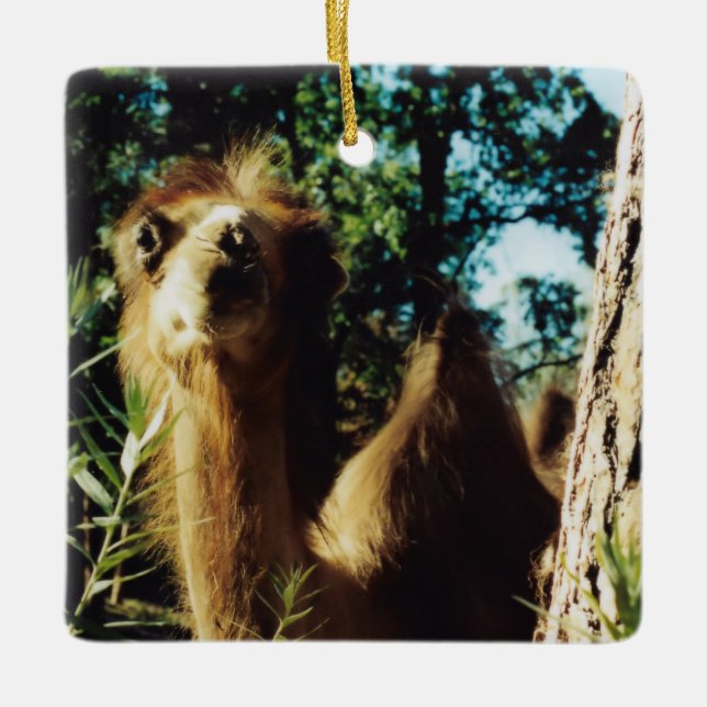 Ornamento De Cerâmica Peaceful Baba (Frente)