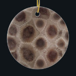 Ornamento De Cerâmica Pedra de Petoskey<br><div class="desc">Mostre que você está amassado com a luva com este design de pedras de Petoskey. Celebre os Lagos Excelentes!</div>