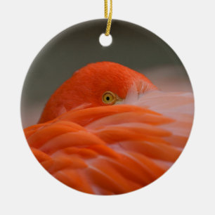 Ornamento De Cerâmica Peeking Flamingo