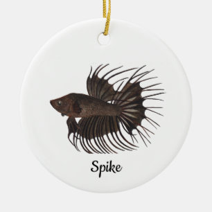 Ornamento De Cerâmica Peixe Betta