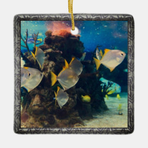 Ornamento De Cerâmica Peixe de Aquário bonito