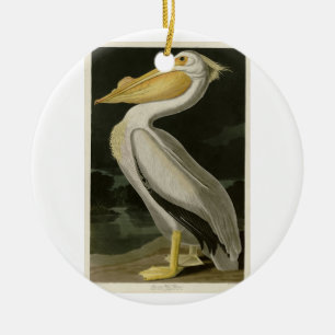 Ornamento De Cerâmica Pelicano Branco Americano, Aves da América de Aud