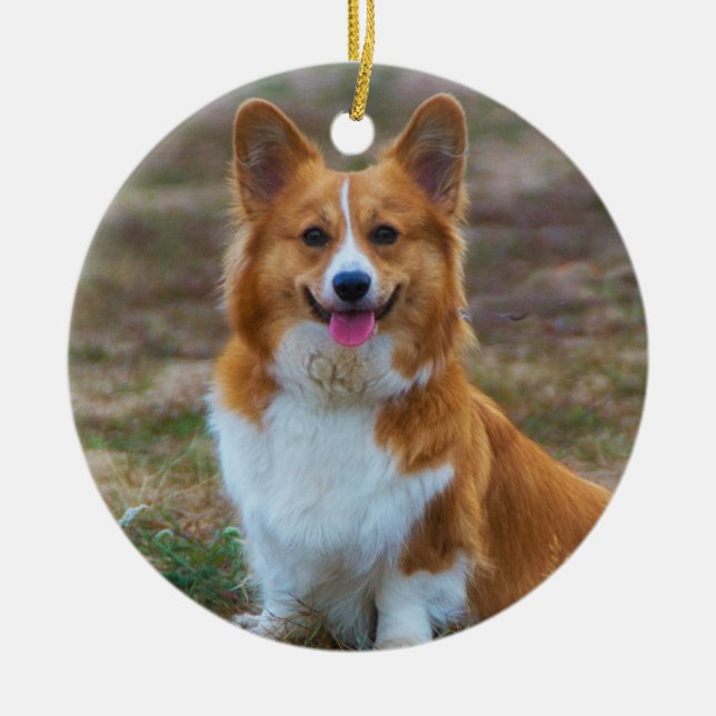 Ornamento De Cerâmica Pembroke Welsh Corgi Dog (Frente)