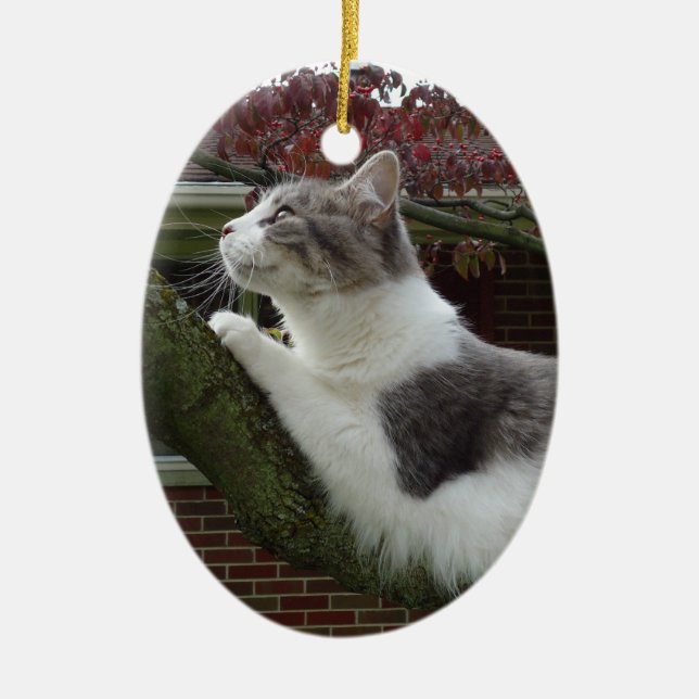Ornamento De Cerâmica Pensamentos do gato (Frente)
