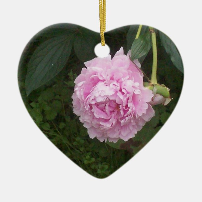 Ornamento De Cerâmica Peônias cor-de-rosa (Frente)