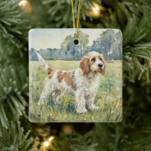 Pequeno Basset Griffon Vandeen  - PBGV