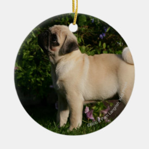 Ornamento De Cerâmica Perfil do Pug da jovem corça