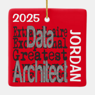 Ornamento De Cerâmica PERSONALIDADE Extraordinária do Data Architect
