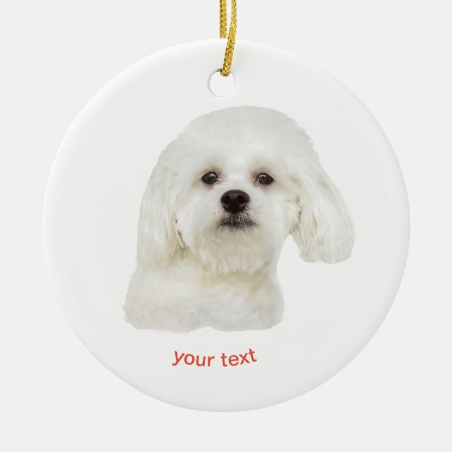 Ornamento De Cerâmica Personalizar o cachorrinho Maltês branco (Frente)