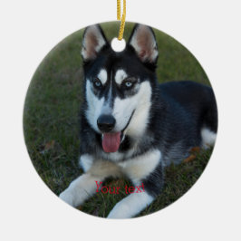 Ornamento De Cerâmica Personalizar o filhote de Husky siberiano