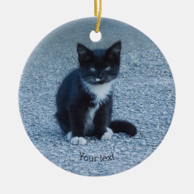 Ornamento De Cerâmica Personalize o gato preto e branco Tuxedo (Frente)
