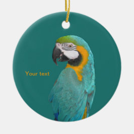 Ornamento De Cerâmica Personalize o retrato azul e Dourado da Macaw