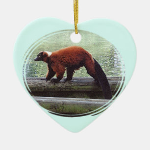 Ornamento De Cerâmica Pescoço vermelho do branco da pele do Lemur