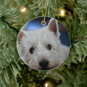 Ornamento De Cerâmica Pestie ultra-côta de Terrier