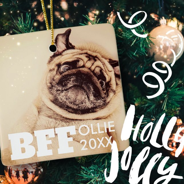 Ornamento De Cerâmica Pet Best Friends Forever Foto Moderna Simples (Criador carregado)