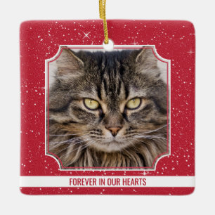 Ornamento De Cerâmica Pet Cat Memorial Red Snow Foto Natal