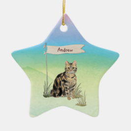 Ornamento De Cerâmica Pet Cat Tabby de Nome Personalizado