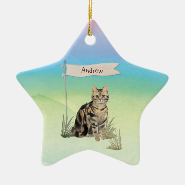 Ornamento De Cerâmica Pet Cat Tabby de Nome Personalizado (Frente)
