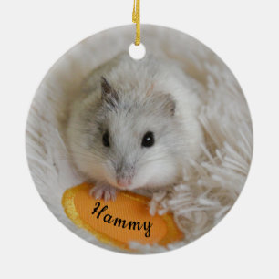 Ornamento De Cerâmica Pet de Hamster Branco Personalizado