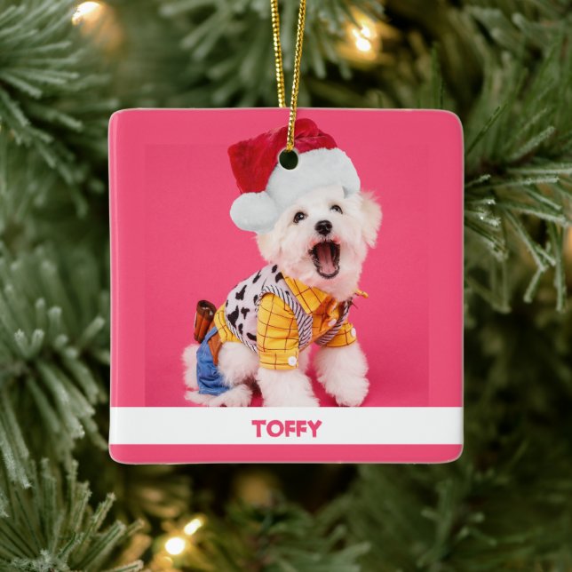 Ornamento De Cerâmica Pet de Natal Personalizado Bonito (Árvore)
