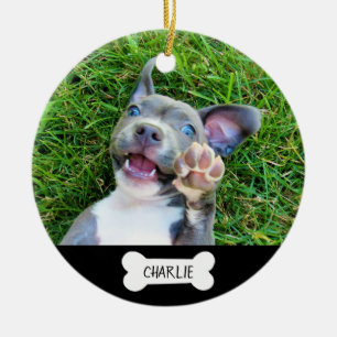 Ornamento De Cerâmica Pet Dog ou Cat Memorial