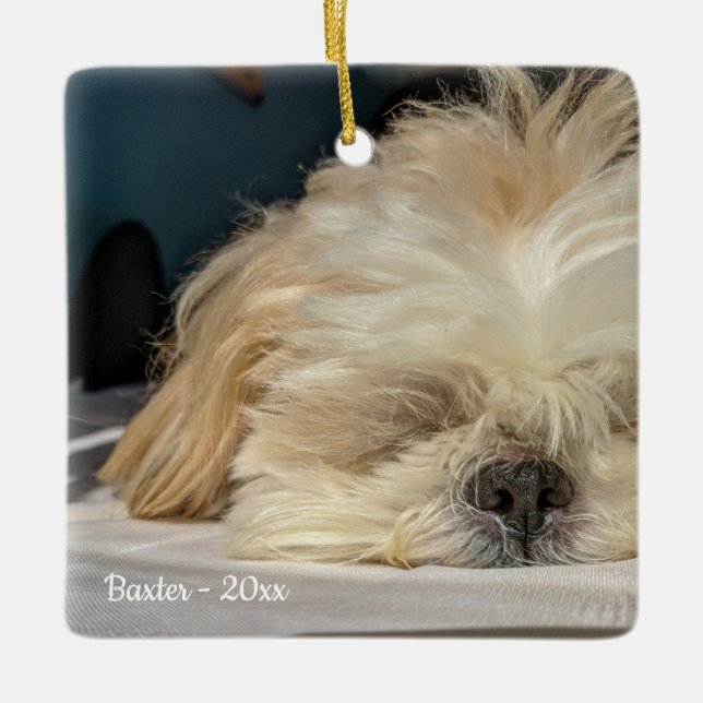 Ornamento De Cerâmica Pet Dog Puppy Ornament Personalizado (Frente)