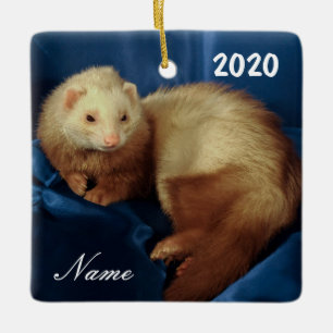 Ornamento De Cerâmica Pet Ferret Personalizado