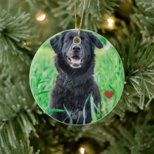 Ornamento De Cerâmica Pet First Christmas Photo Name