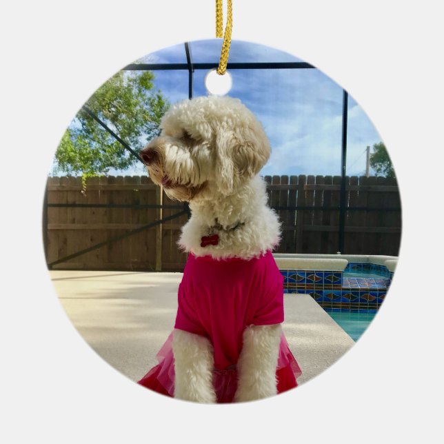 Ornamento De Cerâmica Pet Fotográfico Personalizado (Frente)